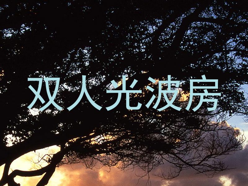双人光波房