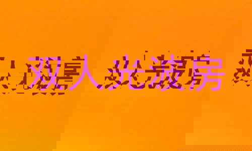 双人光波房