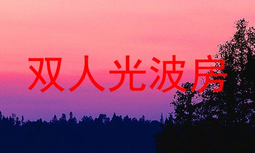 双人光波房