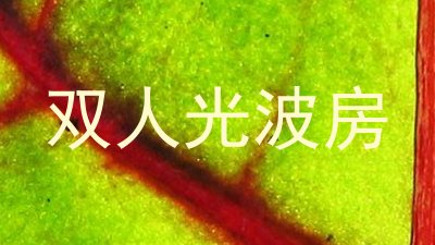 双人光波房
