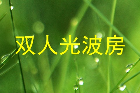 双人光波房