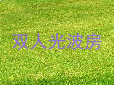 双人光波房
