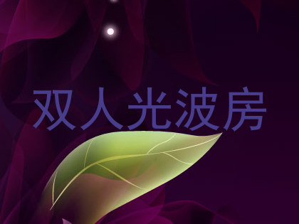 双人光波房