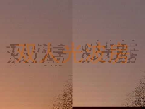 双人光波房