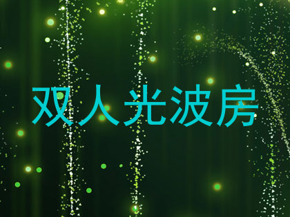 双人光波房