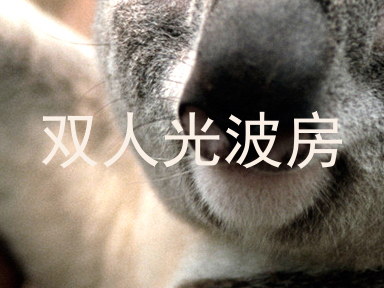 双人光波房