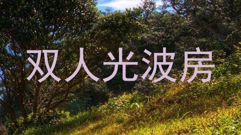 双人光波房