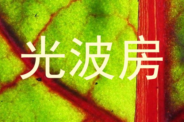 光波房