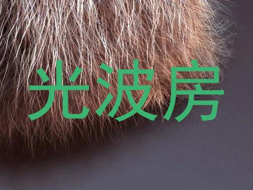 光波房