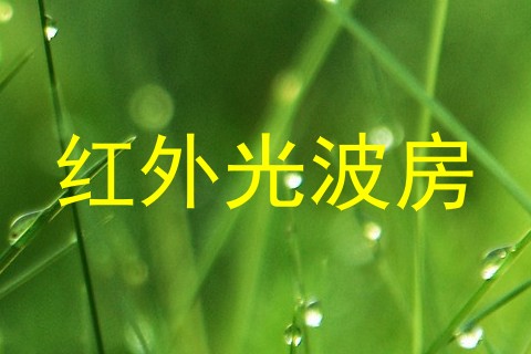 红外光波房