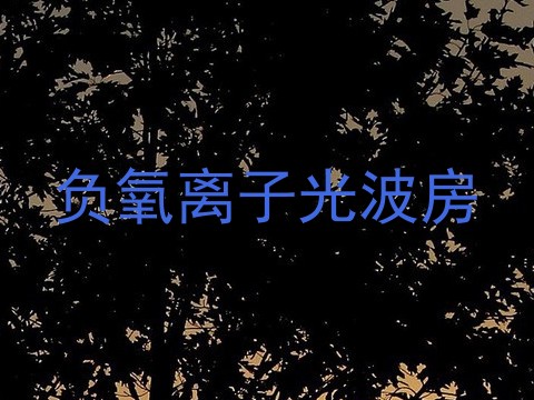 负氧离子光波房