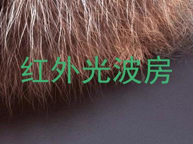 红外光波房