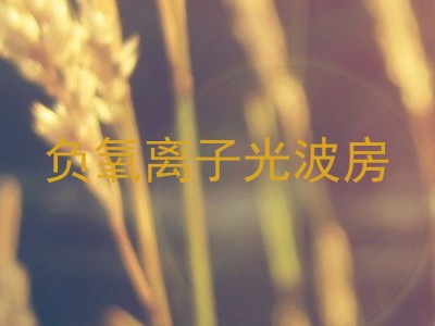 负氧离子光波房