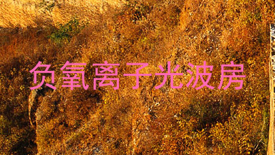 负氧离子光波房