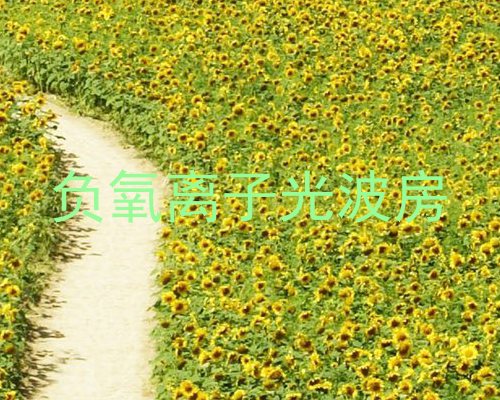 负氧离子光波房
