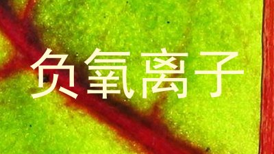 负氧离子