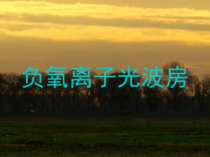 负氧离子光波房