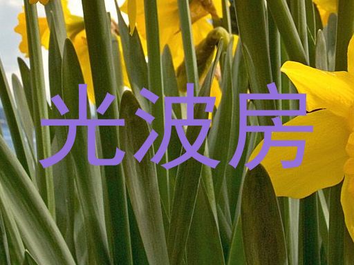 光波房