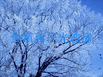 负氧离子光波房