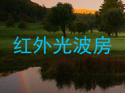 红外光波房