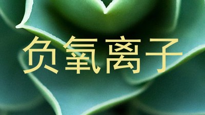 负氧离子