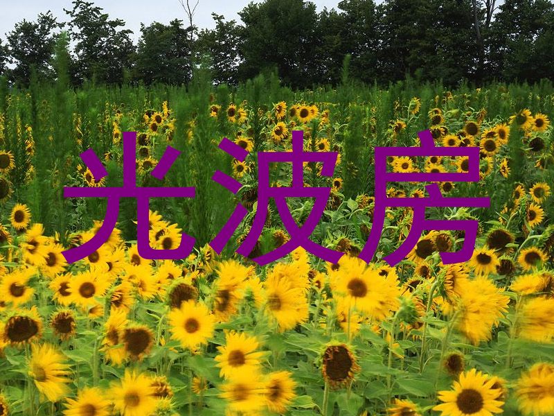 光波房