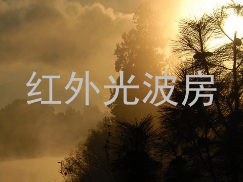 红外光波房