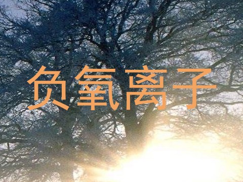 负氧离子