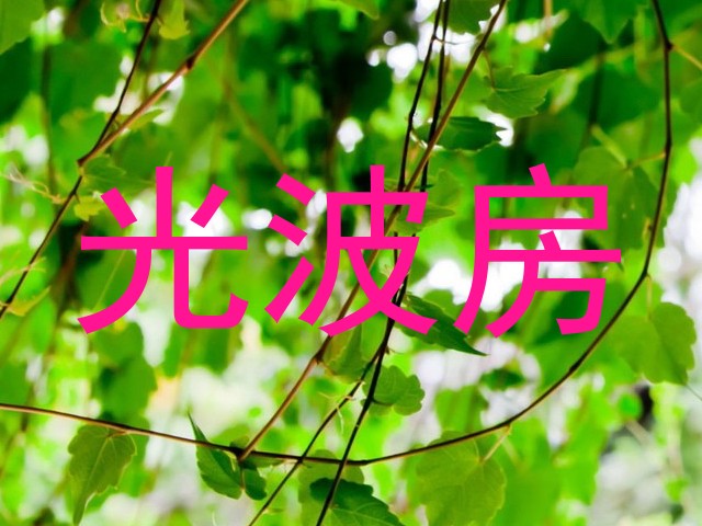 光波房