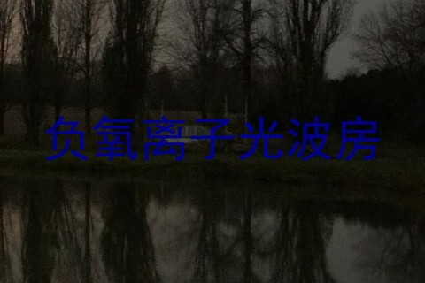 负氧离子光波房