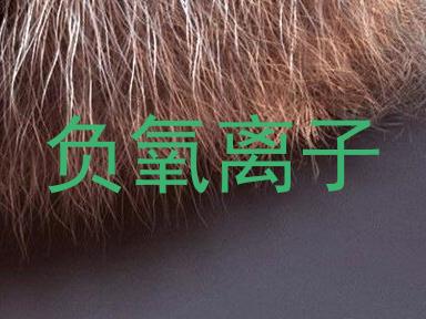 负氧离子
