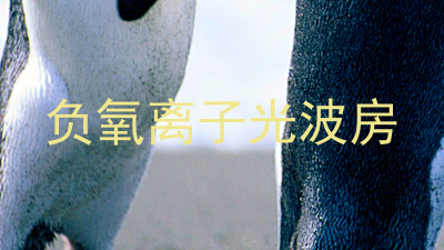 负氧离子光波房