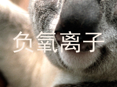 负氧离子