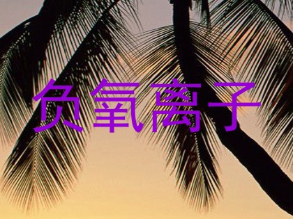 负氧离子