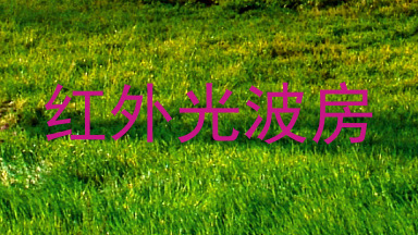 红外光波房