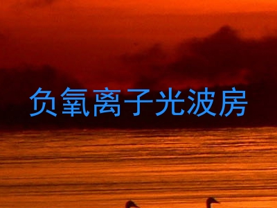 负氧离子光波房