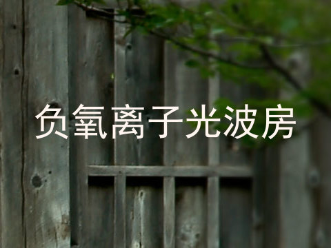 负氧离子光波房
