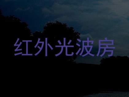 红外光波房