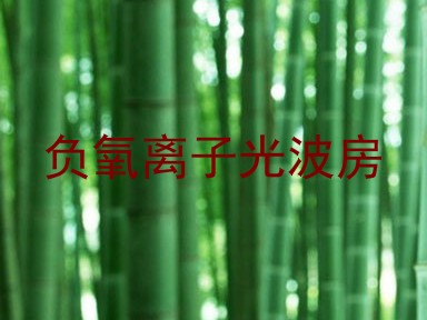 负氧离子光波房