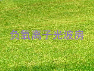 负氧离子光波房