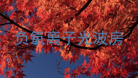 负氧离子光波房
