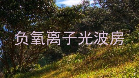 负氧离子光波房