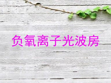 负氧离子光波房