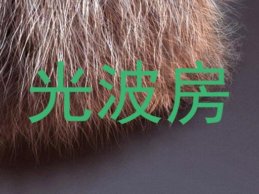 光波房