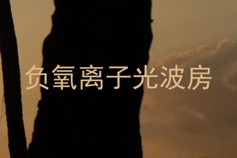 负氧离子光波房