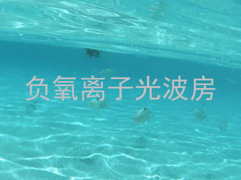 负氧离子光波房