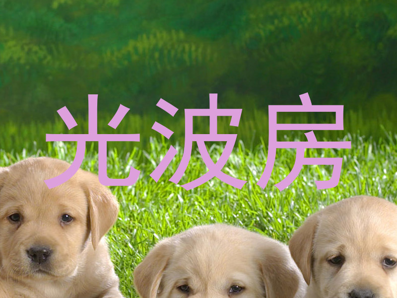 光波房