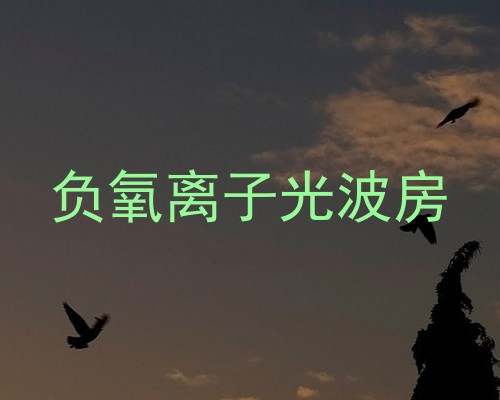 负氧离子光波房
