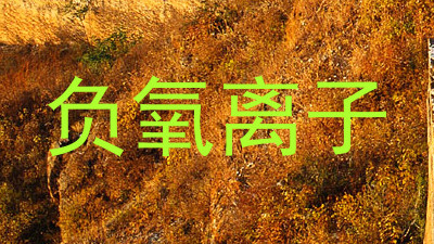 负氧离子