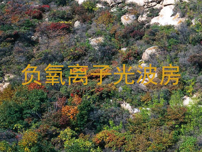 负氧离子光波房